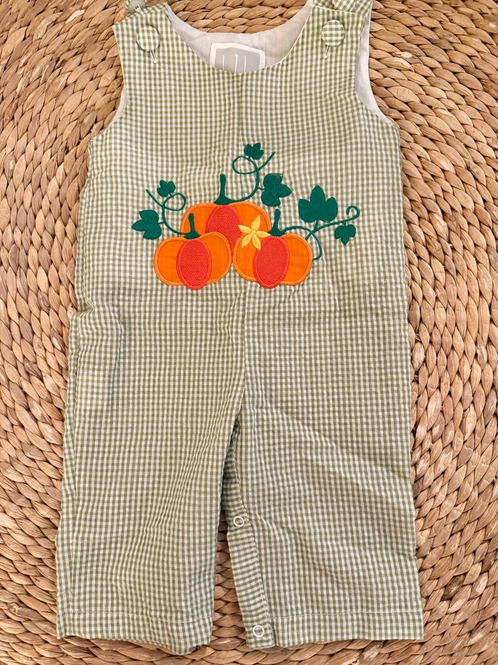 Lil Cactus Gingham Pumpkin Romper Sz 3-6 Months EUC